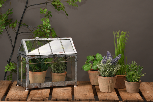 Casa Invernadero Cristal Verde M - CRISTAL ROTO